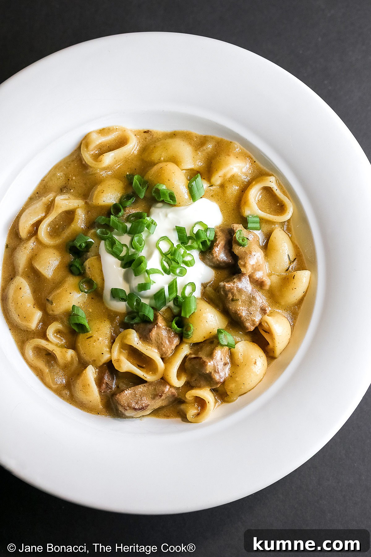Gluten-Free Homemade Beef Stroganoff Recipe for Dinner 4 Wide rimmed white bowl filled with Easy Homemade Beef Stroganoff with pasta, beef, and sauce, topped with a dollop of sour cream and sprinkled with chopped green onions, sitting on a black background © 2025 Jane Bonacci, The Heritage Cook.