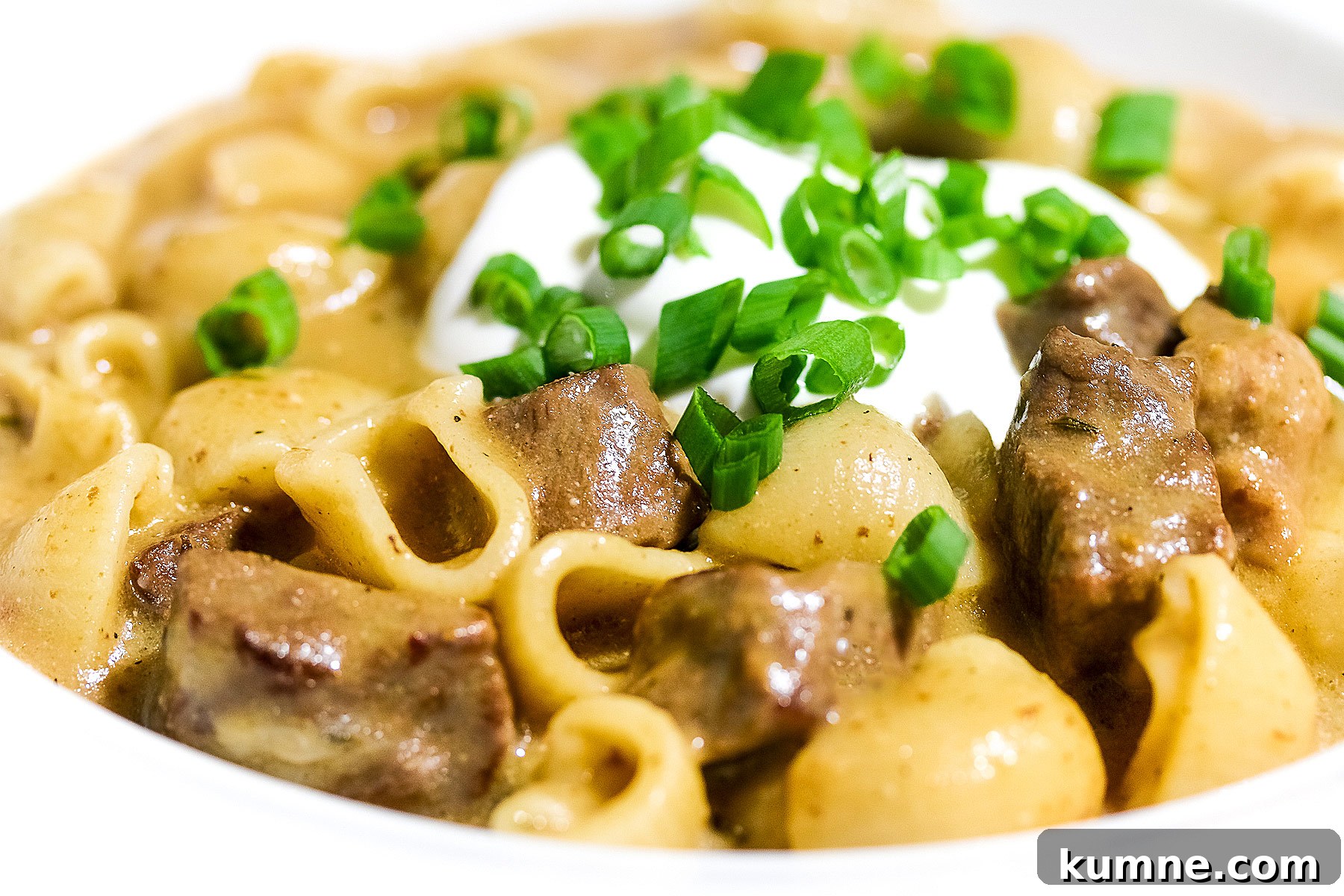 Gluten-Free Homemade Beef Stroganoff Recipe for Dinner 5 Wide rimmed white bowl filled with Easy Homemade Beef Stroganoff with pasta, beef, and sauce, topped with a dollop of sour cream and sprinkled with chopped green onions, sitting on a black background © 2025 Jane Bonacci, The Heritage Cook.