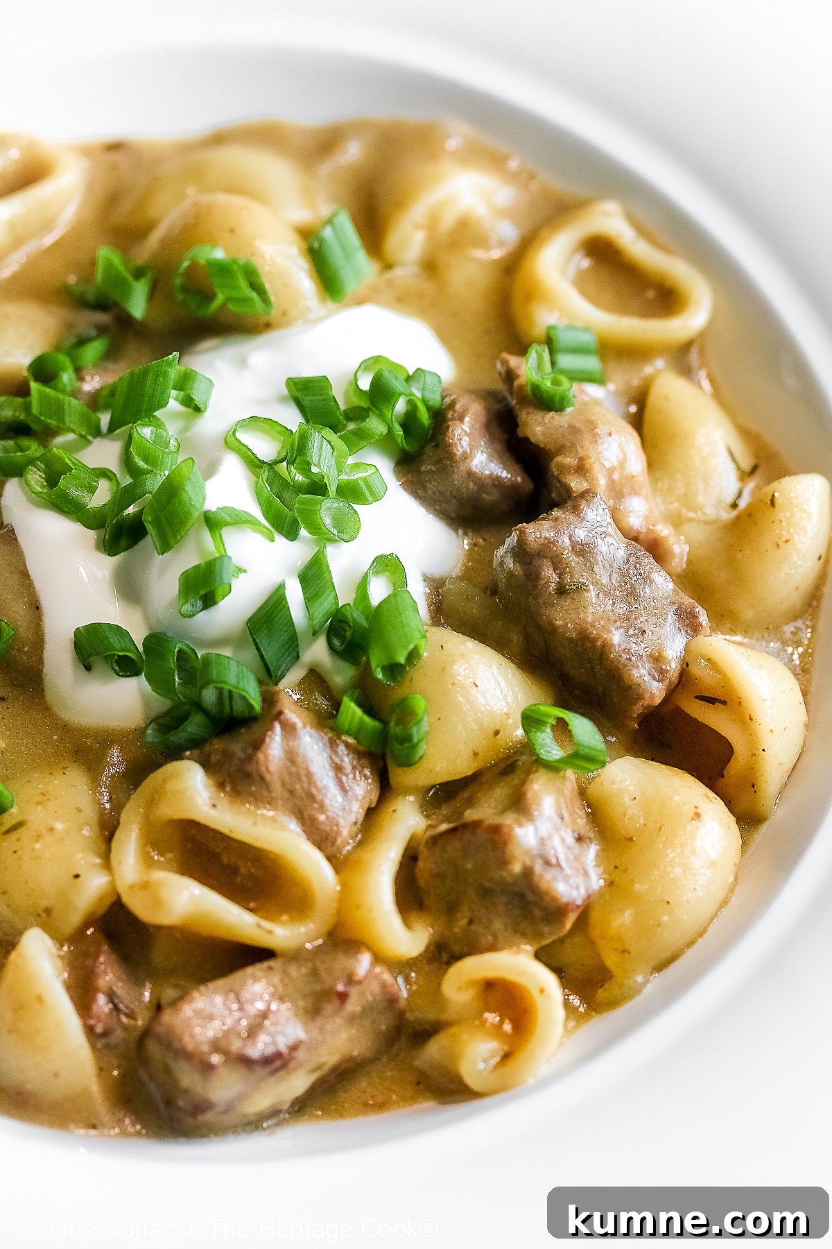Gluten-Free Homemade Beef Stroganoff Recipe for Dinner 6 Wide rimmed white bowl filled with Easy Homemade Beef Stroganoff with pasta, beef, and sauce, topped with a dollop of sour cream and sprinkled with chopped green onions, sitting on a black background © 2025 Jane Bonacci, The Heritage Cook.