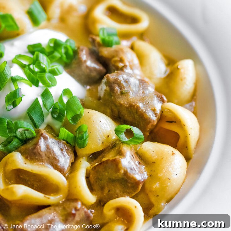 Wide rimmed white bowl filled with Easy Homemade Beef Stroganoff with pasta, beef, and sauce, topped with a dollop of sour cream and sprinkled with chopped green onions, sitting on a black background © 2025 Jane Bonacci, The Heritage Cook.