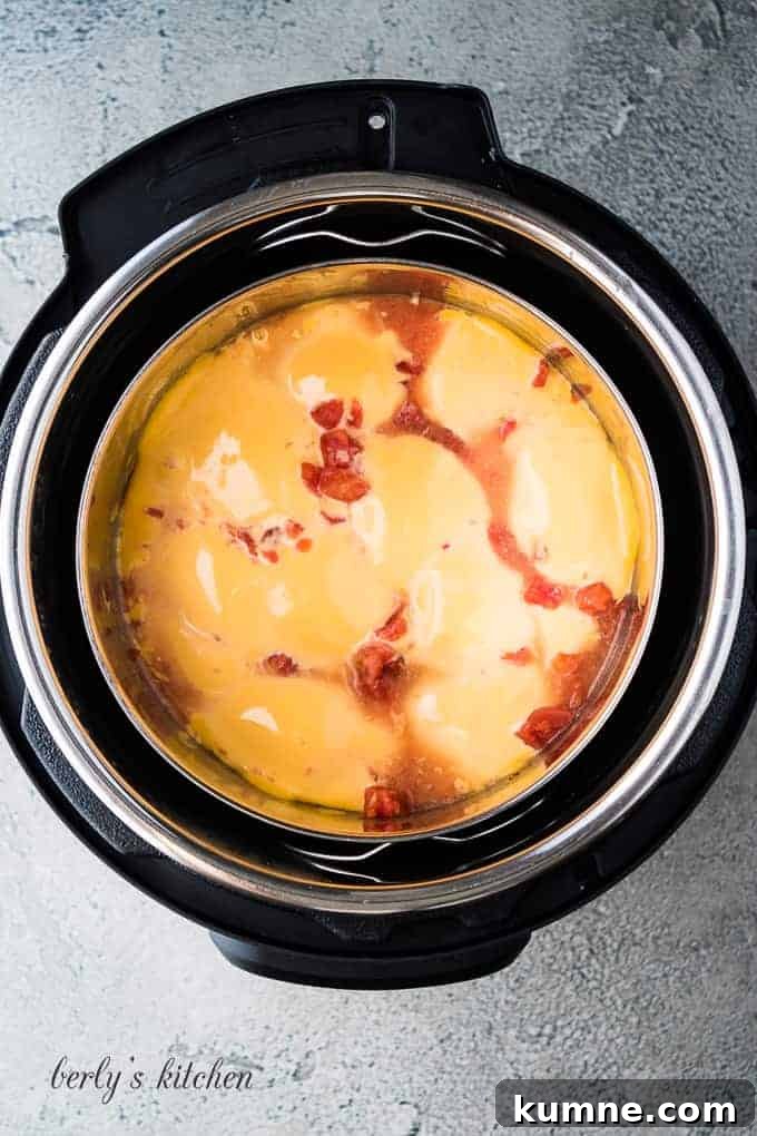 Creamy Instant Pot Cheese Dip Recipe You’ll Love 5 The cheese dip has been pressure cooked and needs stirring.
