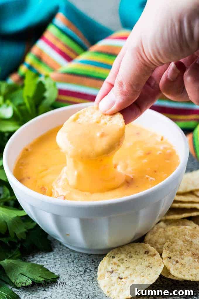 Creamy Instant Pot Cheese Dip Recipe You’ll Love 7 Berly dipping a round tortilla chip into the cheese dip.
