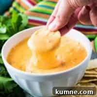 Creamy Instant Pot Cheese Dip Recipe You’ll Love 8 Berly dipping a round tortilla chip into the cheese dip.