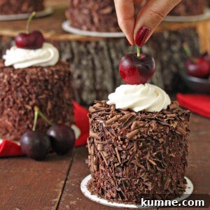 Black Forest Mini Cakes