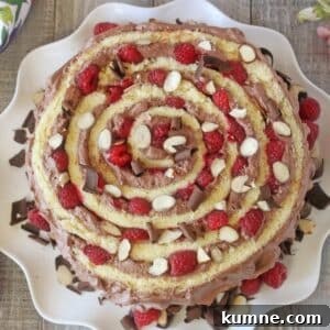 Raspberry Almond Spiral Cake