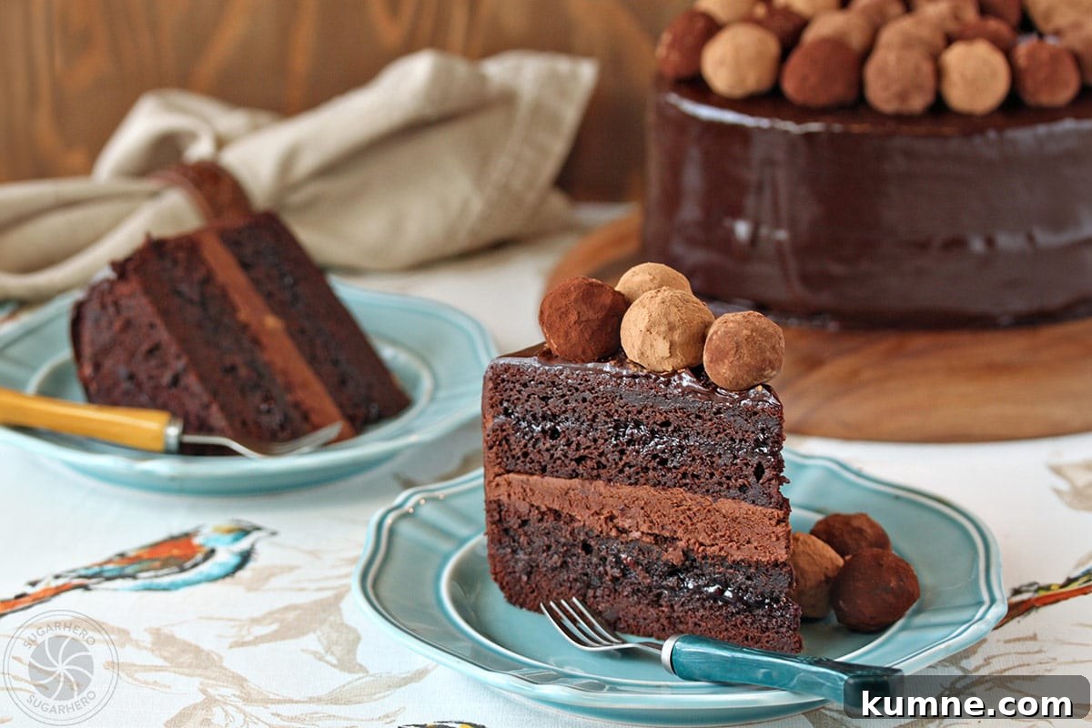 Truffle-Topped Heart Cake - Two slices of chocolate layered cake with chocolate filling showing.