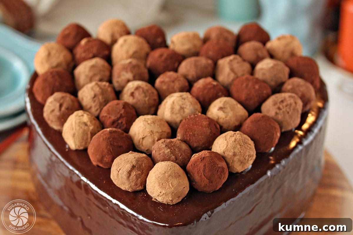 Truffle-Topped Heart Cake - A close up of the truffle cake with light, medium, and dark truffles covering the top of the cake.