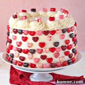 Pink and Red Velvet Cake