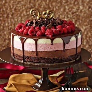 Chocolate Raspberry Mousse Cake