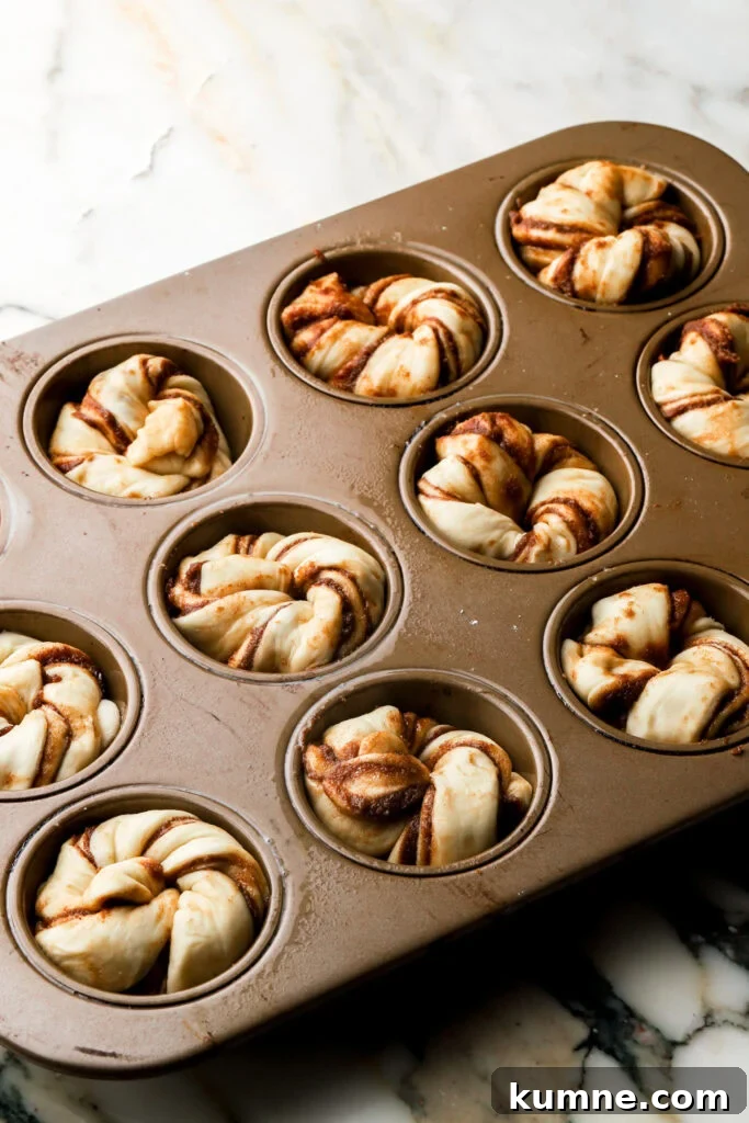 knots placed into a greased muffin tin
