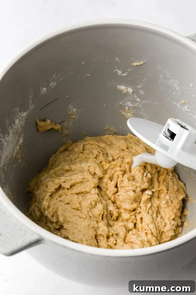 dough in a bowl