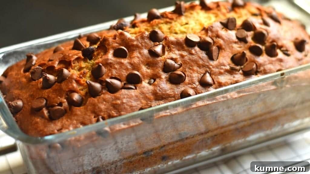 Chocolate Chip Banana Bread Recipe: Moist Banana Loaf with Chocolate Chips 2 chocolate chip banana bread
