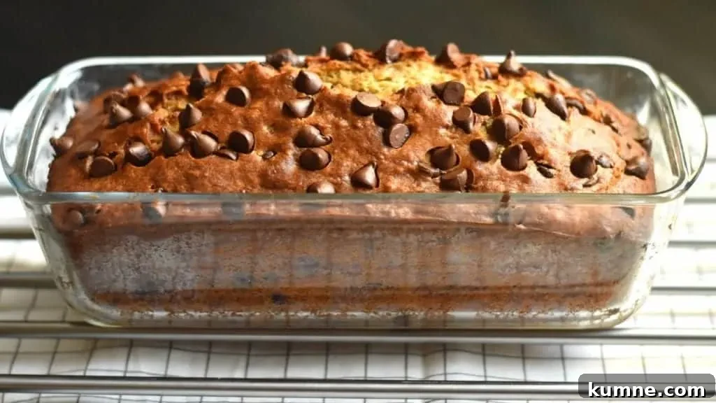 Chocolate Chip Banana Bread Recipe: Moist Banana Loaf with Chocolate Chips 3 chocolate chip banana bread