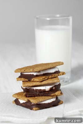 Gluten Free S'Mores