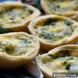 Mini Quiche Appetizers