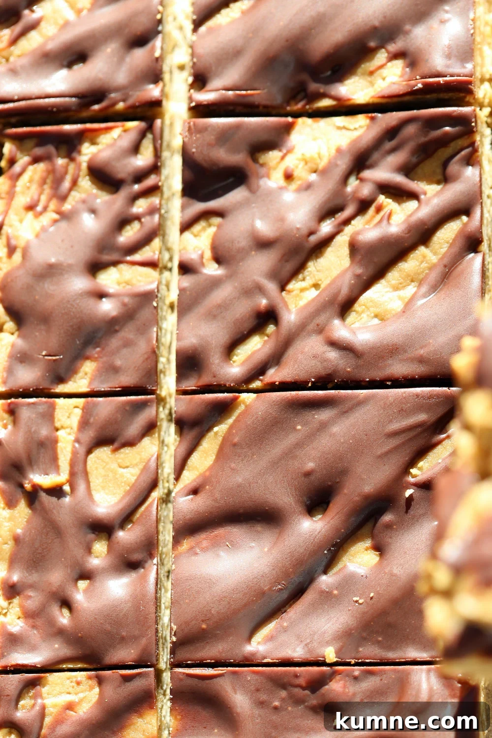 No Bake Sunbutter Granola Bars , sliced and ready to eat