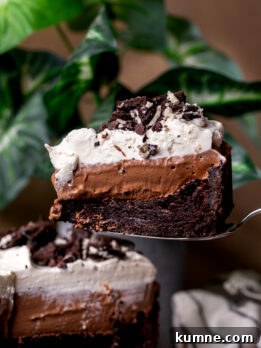 Decadent Mississippi Mud Pie Recipe — Classic Chocolate Dessert 11 Taking a slice out of the Mississippi mud pie.