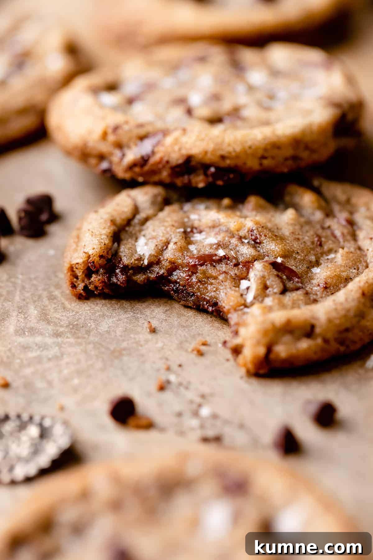 Espresso Chocolate Chip Cookies Recipe — Rich Coffee Cookie Delight 6 a coffee cookie topped with chocolate chips with a bite taken out of it.
