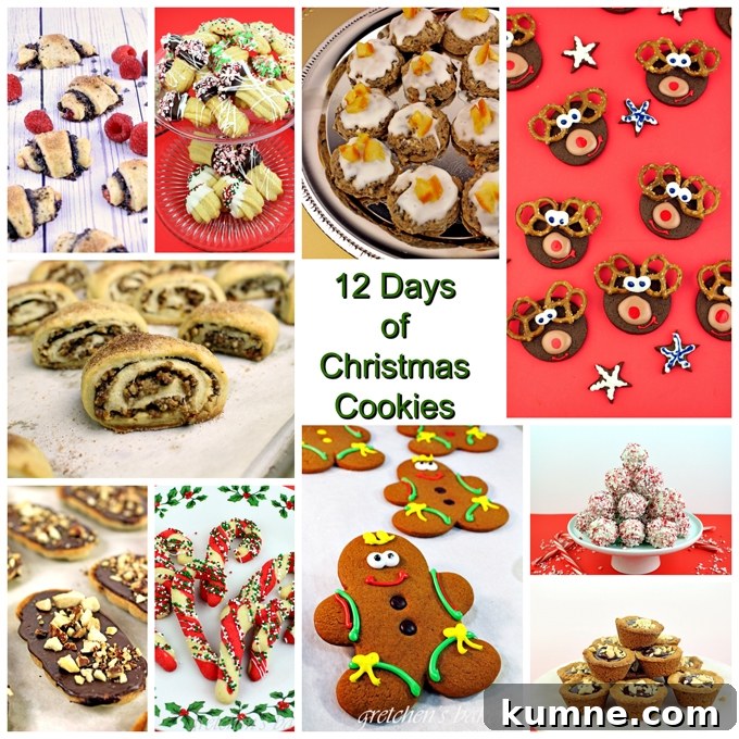 The 12 Days of Christmas Cookies VEGAN!