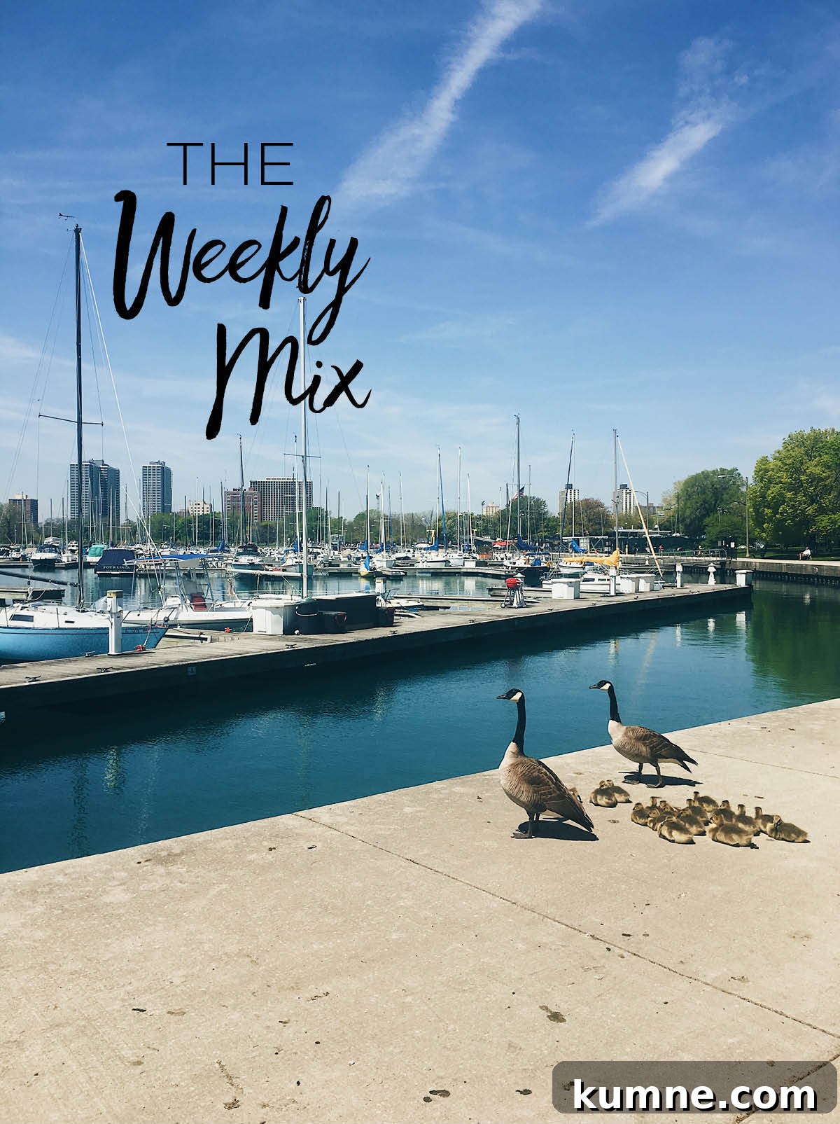 The Weekly Mix - A Beautiful Plate