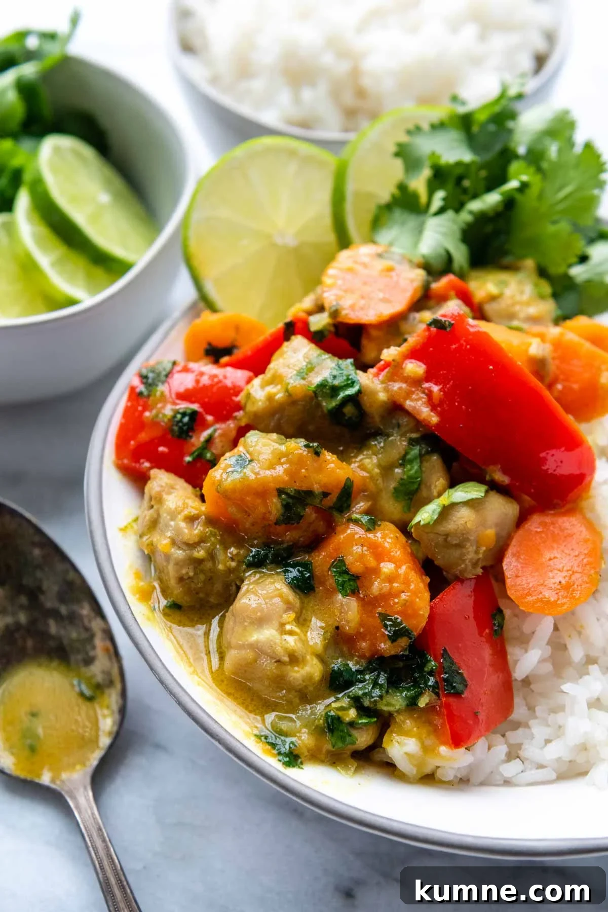 close up of the finished curry dish.