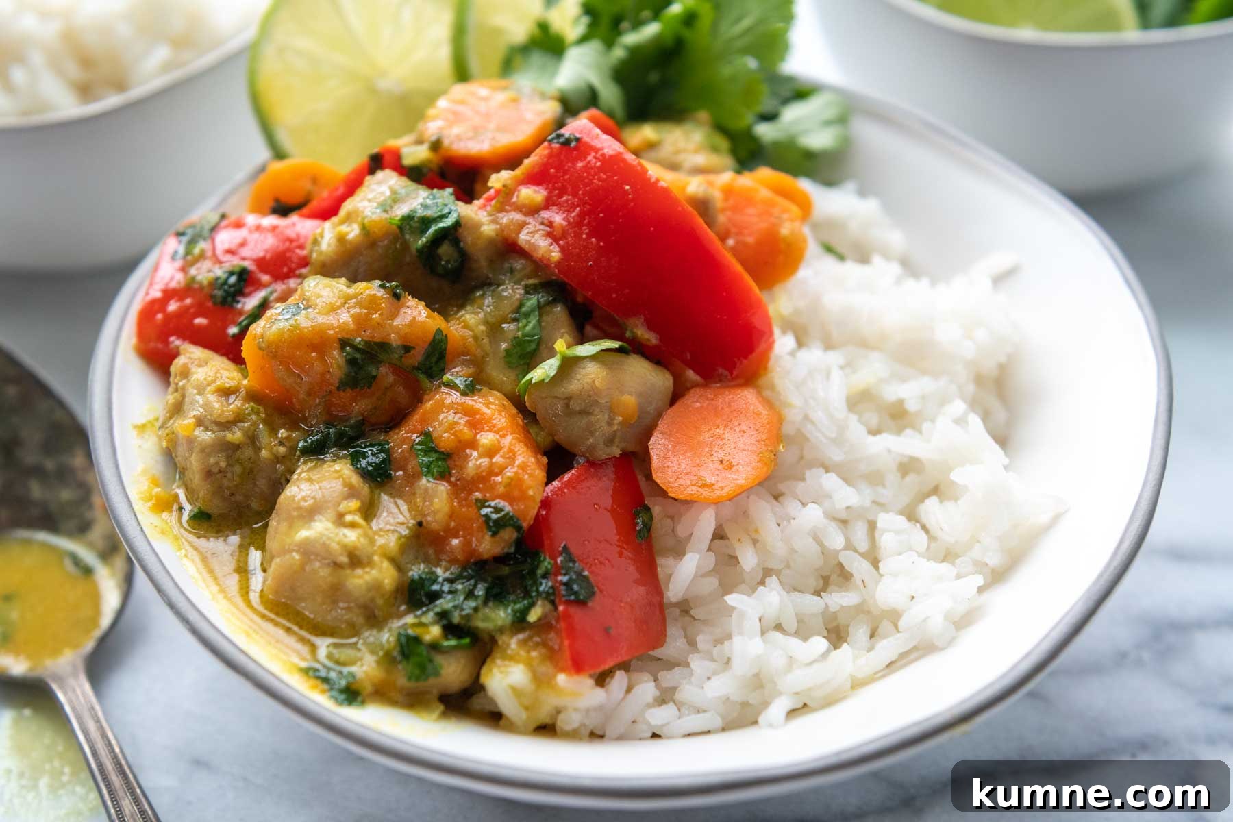a bowl of chicken curry with lime slices.