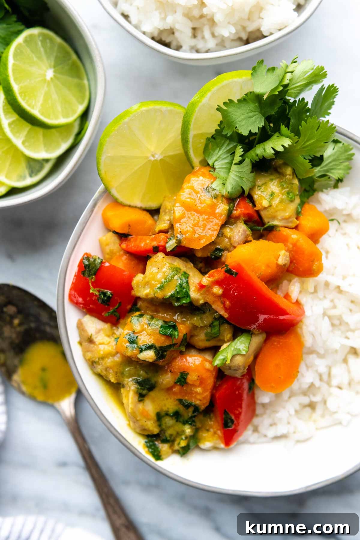 coconut chicken curry served over rice in a white bowl.
