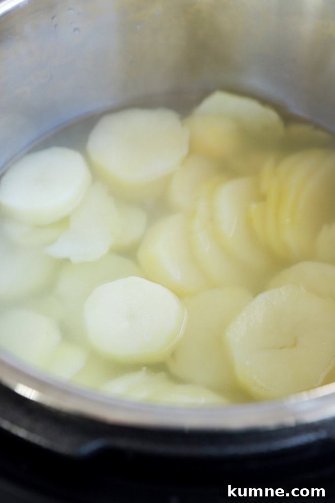 Roasted Garlic Parmesan Mashed Potatoes in the Instant Pot 5 potatoes cooked in instant pot sliced in water