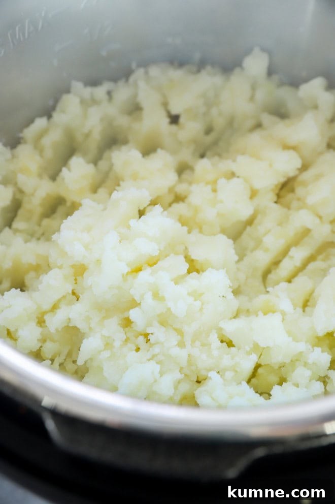 Roasted Garlic Parmesan Mashed Potatoes in the Instant Pot 6 potatoes mashed in the instant pot