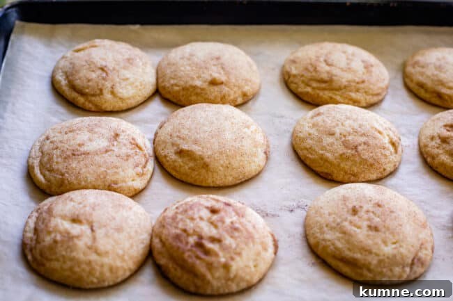 snickerdoodle cookies on a pan just out of the oven, still puffy.