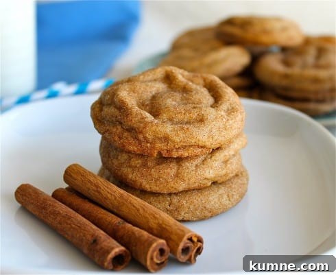 Snickerdoodles on a plate with cinnamon sticks.