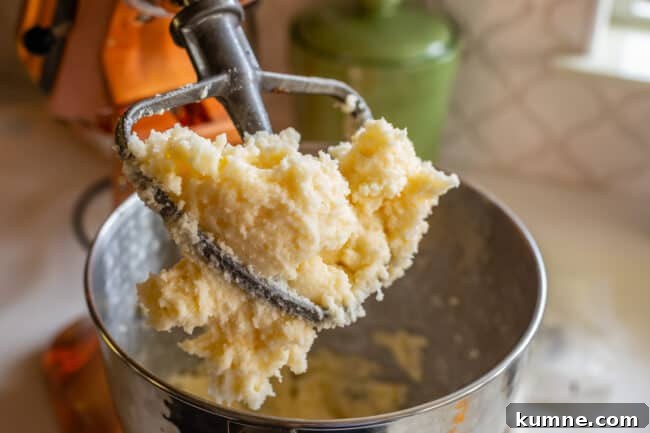 beaten butter and sugar on the paddle of a stand mixer.