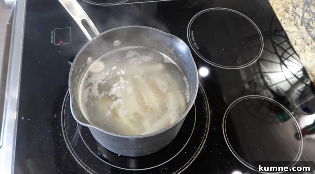 Reducing temp so boil is gentle