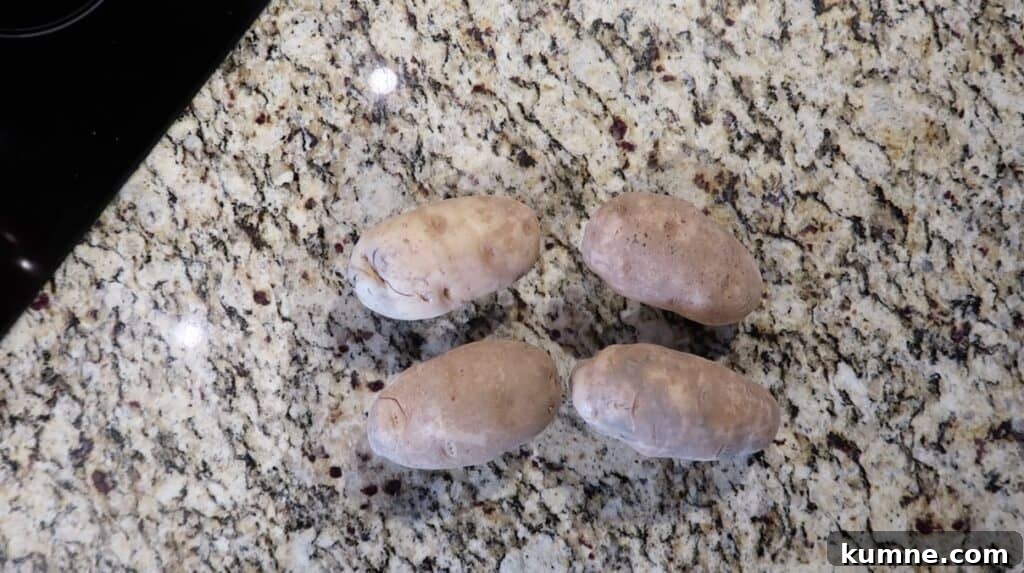 4 Idaho, Russet or Baking potatoes