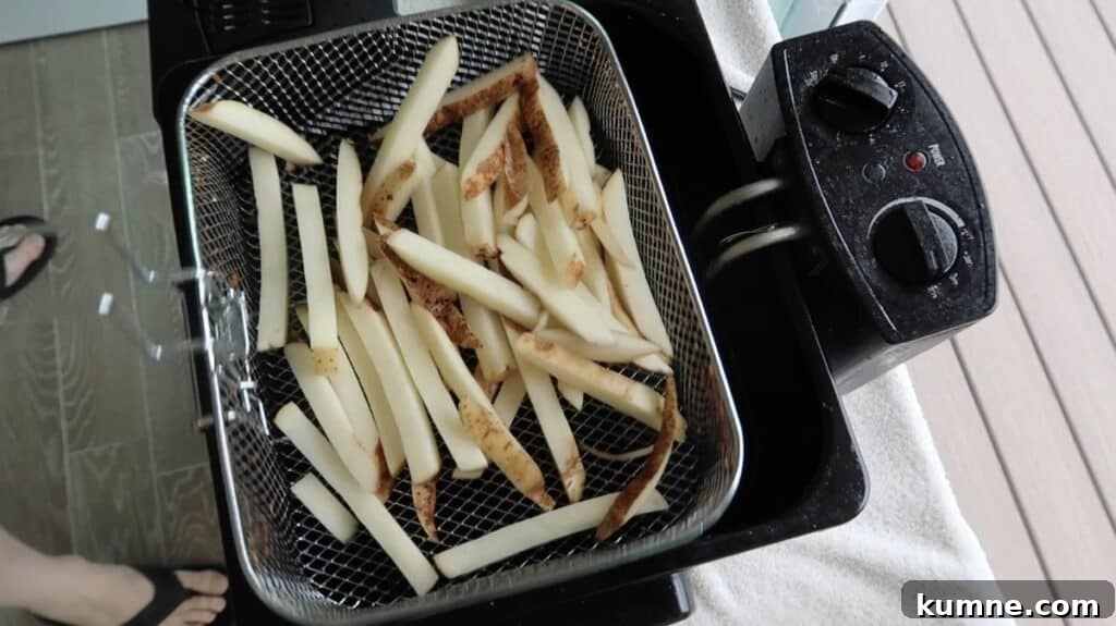 Potato sticks in fryer basket