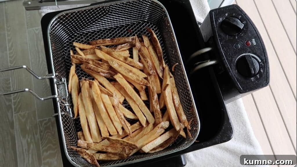 Cooked French fries in basket resting out of the oil