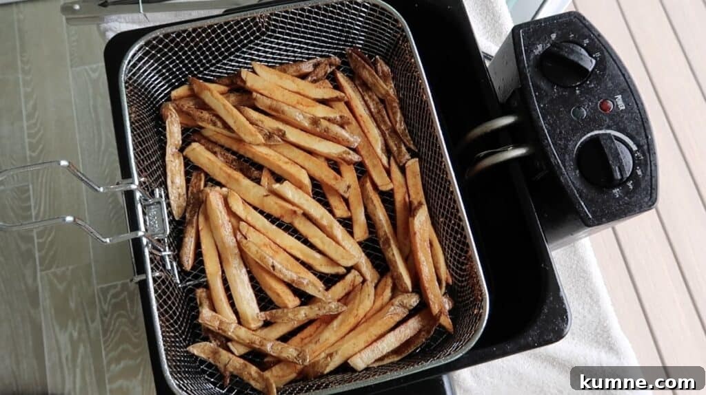 Cooked French fries in basket resting out of the oil