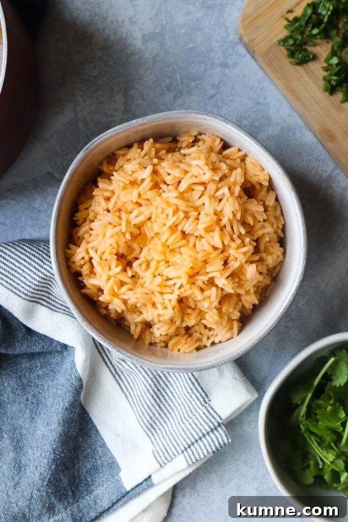 white bowl with bone broth rice
