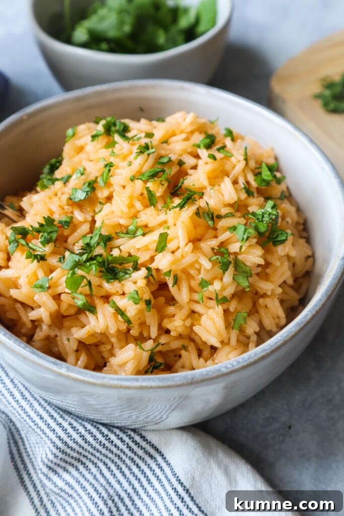 white bowl with bone broth rice topped with fresh chopped cilantro