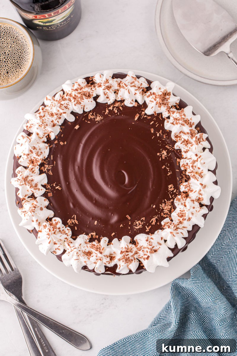 looking down at a baileys cheesecake topped with chocolate ganache, cool whip dollops around the edge, and chocolate shavings