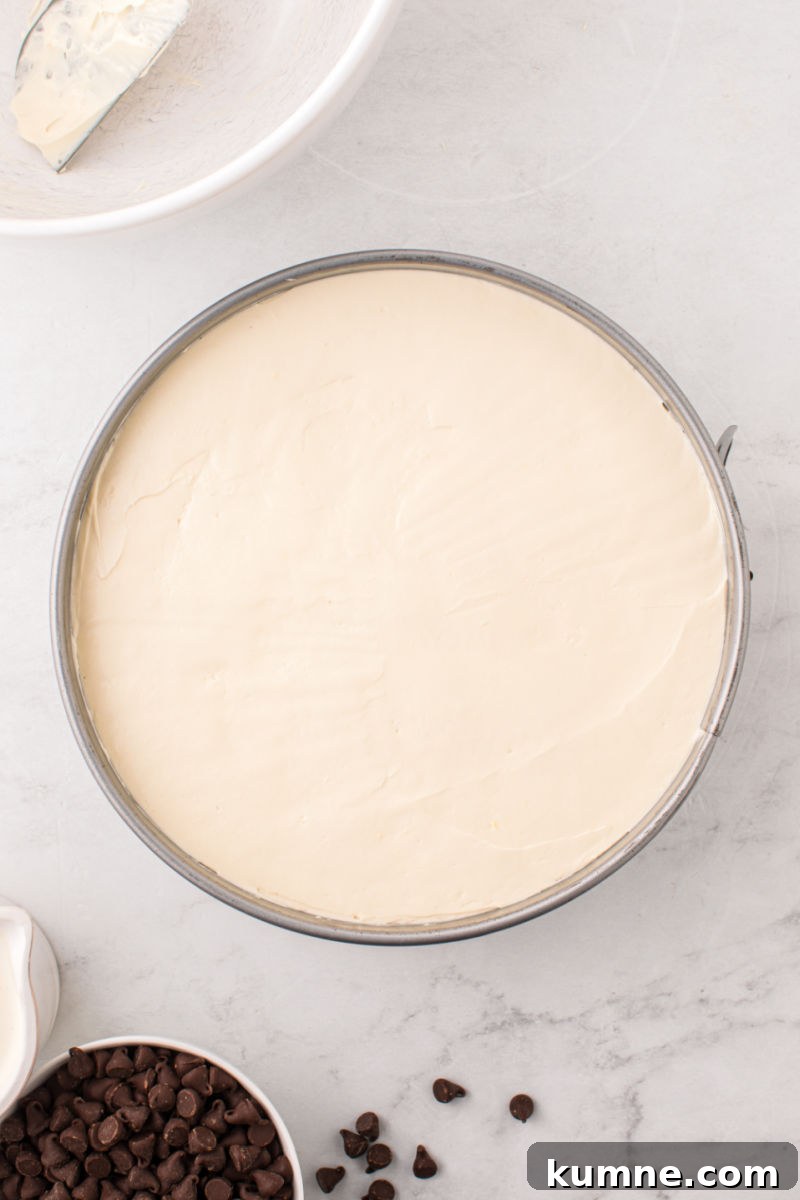 chilled no bake baileys cheesecake filling in a springform pan over oreo crust