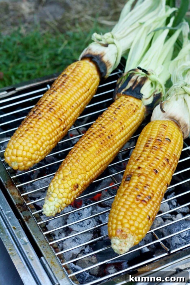 Grilled Corn on the Cob with Creamy Avocado and Dill Dressing 3 Perfectly Grilled Corn on the Cob is very juicy and pairs so well with creamy vegan avocado dill dressing. Easy and impressive recipe for your summer barbecue!