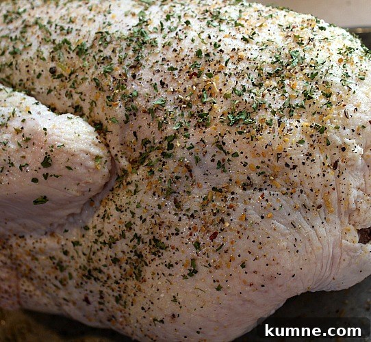 Turkey with dry seasonings rubbed on 