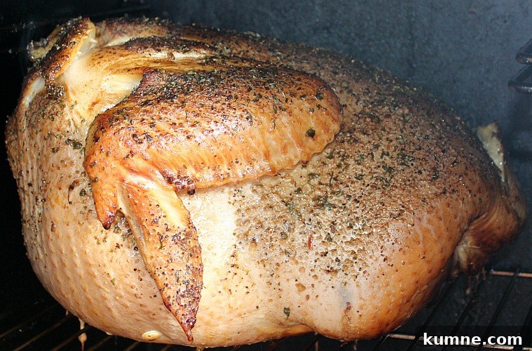 Dry Rubbed Turkey Smoking In Smoker 