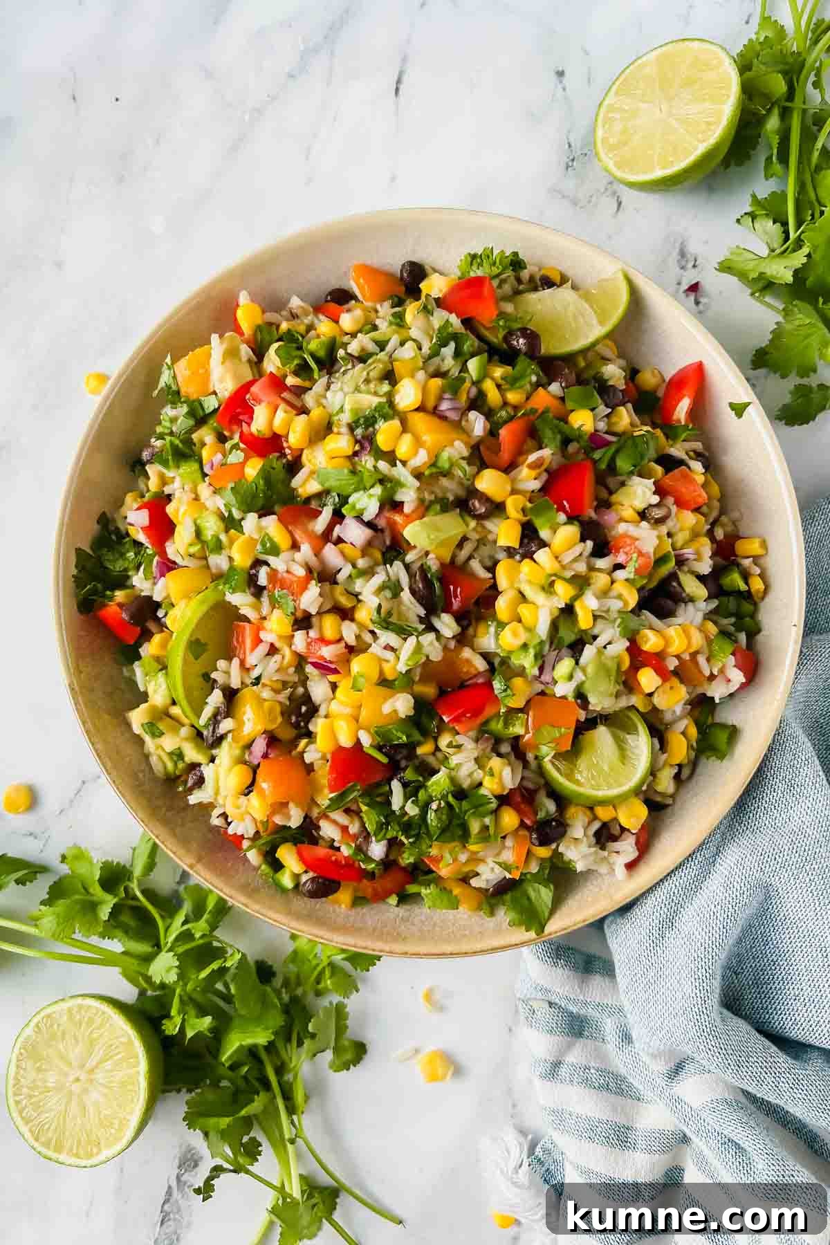 Festive Mexican-Style Fiesta Rice Recipe 2 Large bowl of fiesta rice garnished with cilantro and lime wedges.