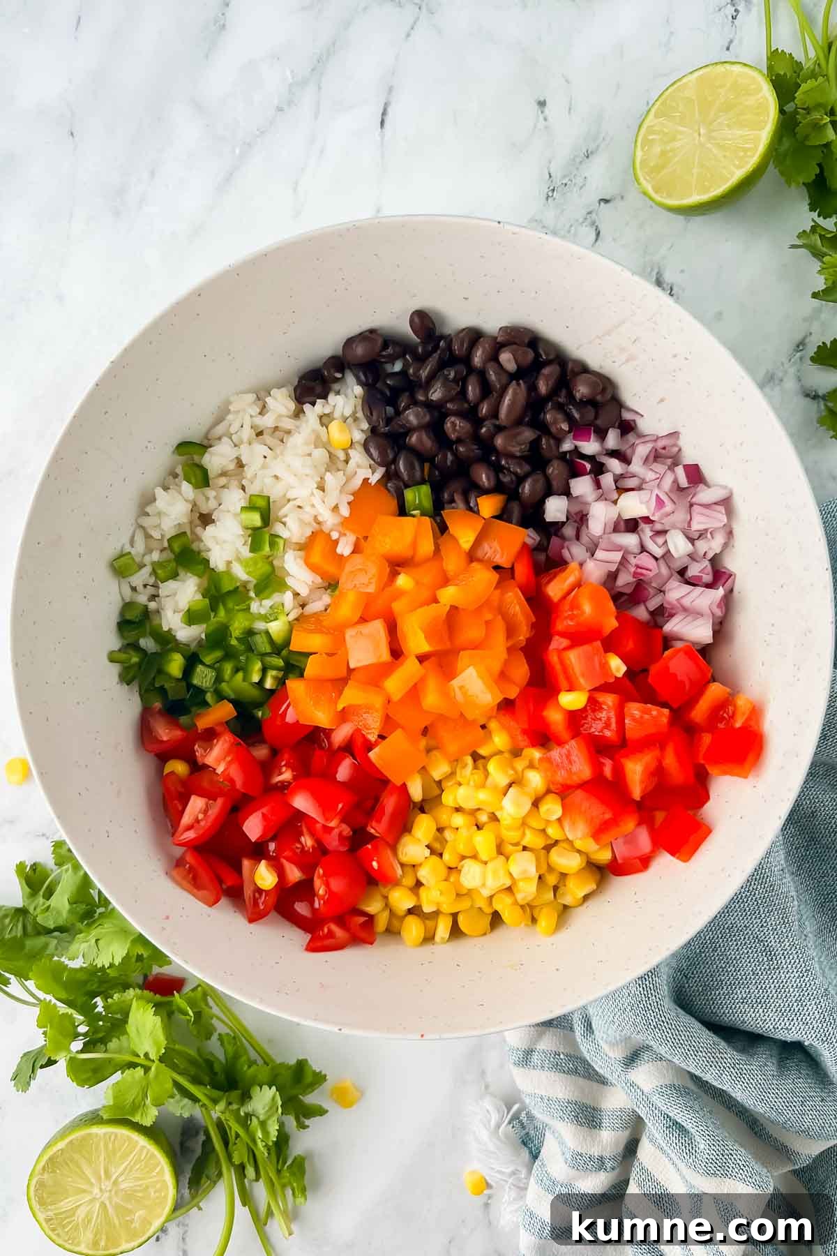 Festive Mexican-Style Fiesta Rice Recipe 6 img 40410 5