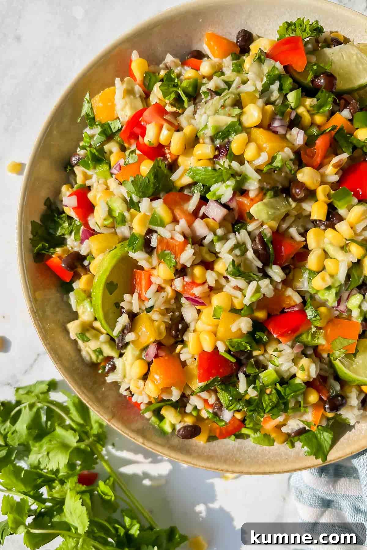 Festive Mexican-Style Fiesta Rice Recipe 8 Large bowl of fiesta rice garnished with cilantro and lime wedges.