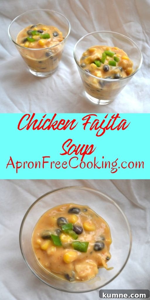 Chicken Fajita Soup Pin from www.ApronFreeCooking.com