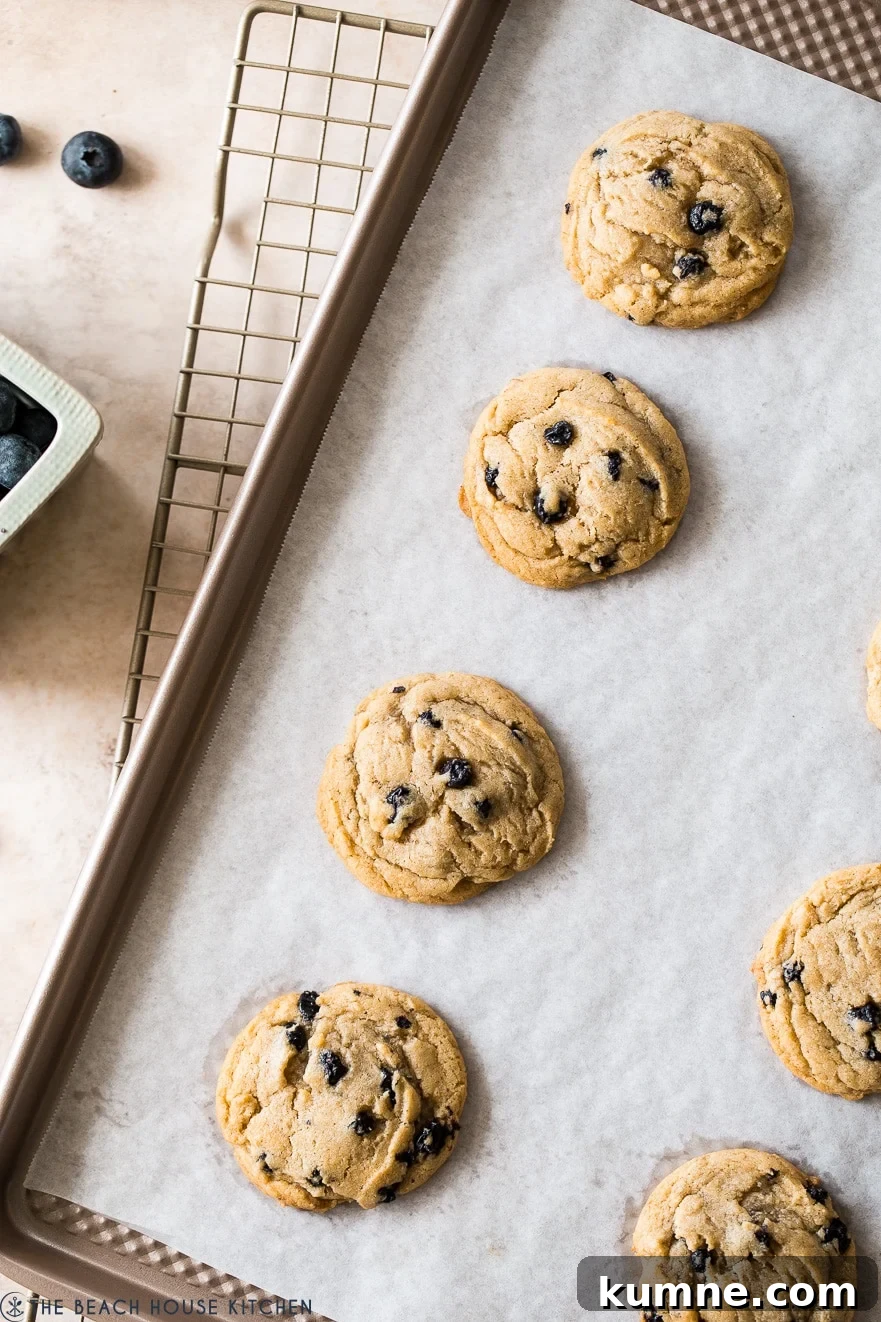 Chewy Brown Sugar Cookies with Fresh Blueberries 2 Overhead photo of cookies on a parchment lined tray