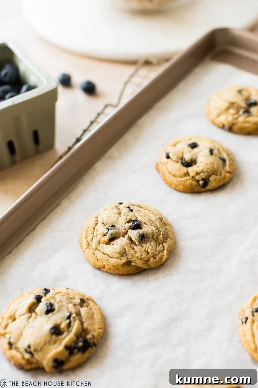 Chewy Brown Sugar Cookies with Fresh Blueberries 4 Baked cookies on a parchment lined sheet